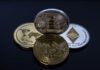Ontdek de opkomst van Bitcoinplatforms in Nederland